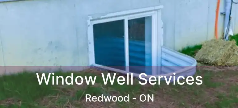  Window Well Services Redwood - ON