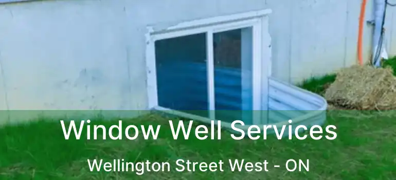  Window Well Services Wellington Street West - ON