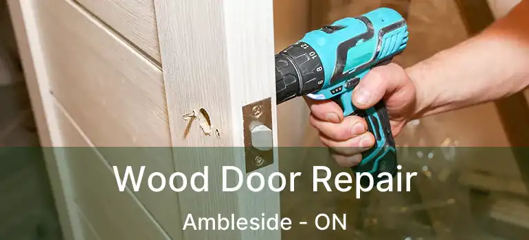  Wood Door Repair Ambleside - ON