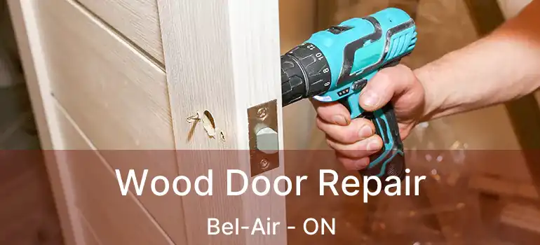  Wood Door Repair Bel-Air - ON