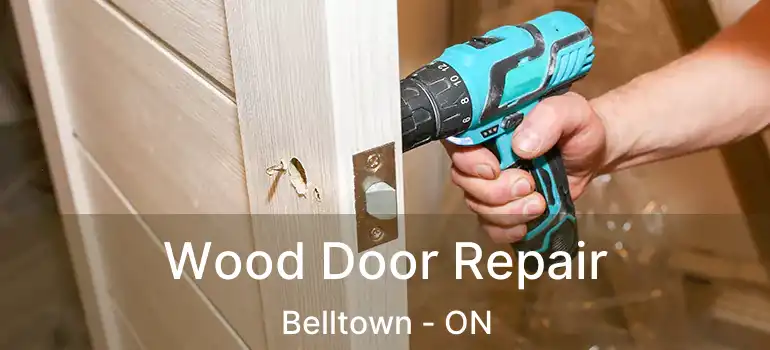  Wood Door Repair Belltown - ON