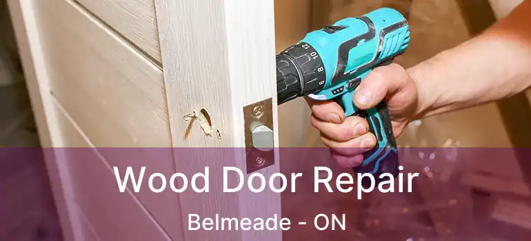  Wood Door Repair Belmeade - ON