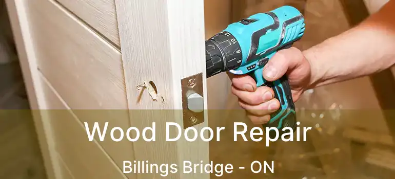  Wood Door Repair Billings Bridge - ON