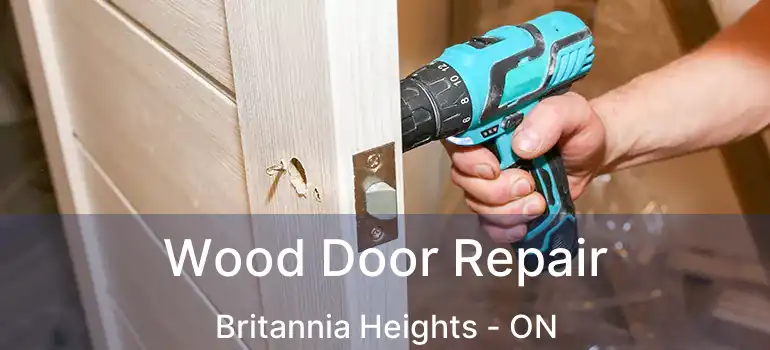  Wood Door Repair Britannia Heights - ON