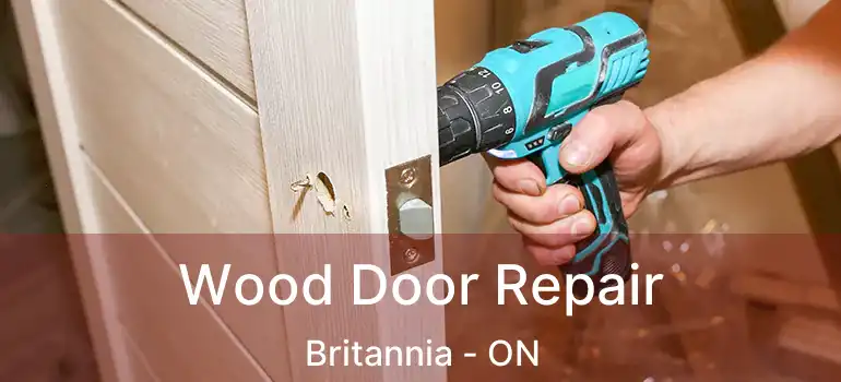  Wood Door Repair Britannia - ON