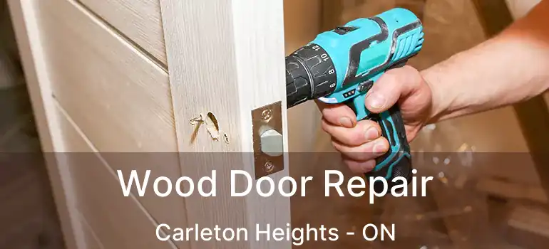  Wood Door Repair Carleton Heights - ON