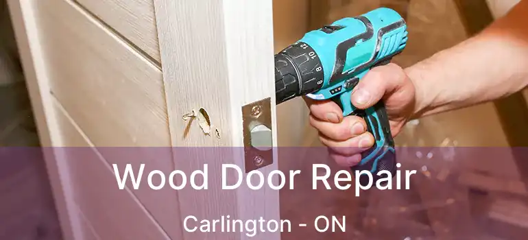  Wood Door Repair Carlington - ON