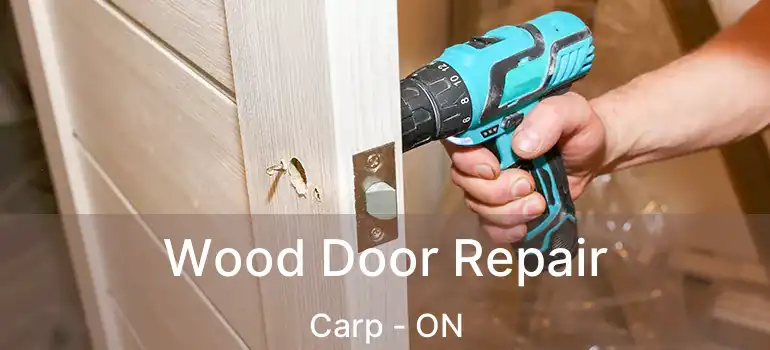  Wood Door Repair Carp - ON