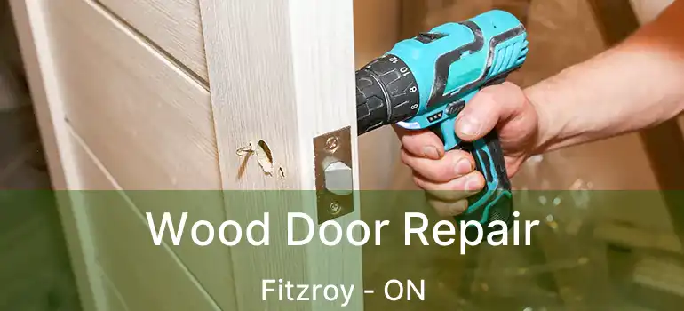  Wood Door Repair Fitzroy - ON