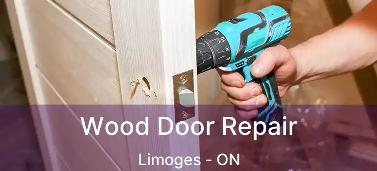  Wood Door Repair Limoges - ON