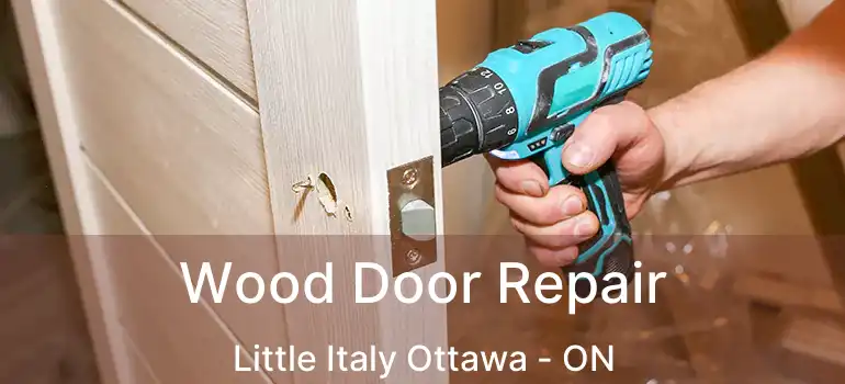  Wood Door Repair Little Italy Ottawa - ON