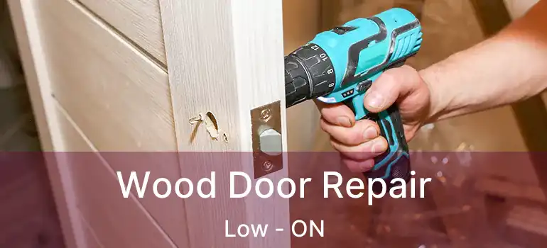  Wood Door Repair Low - ON