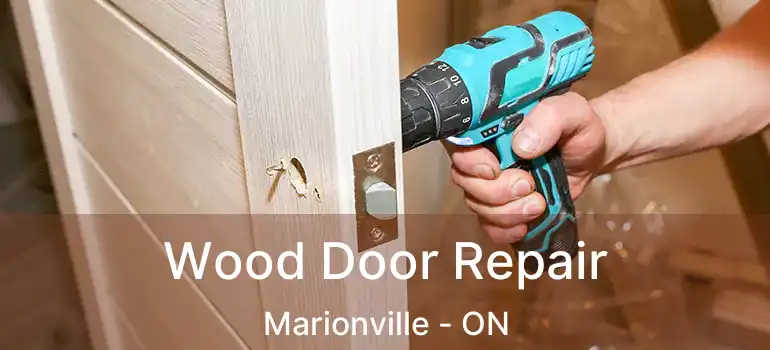  Wood Door Repair Marionville - ON