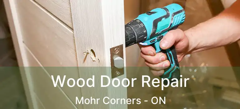  Wood Door Repair Mohr Corners - ON