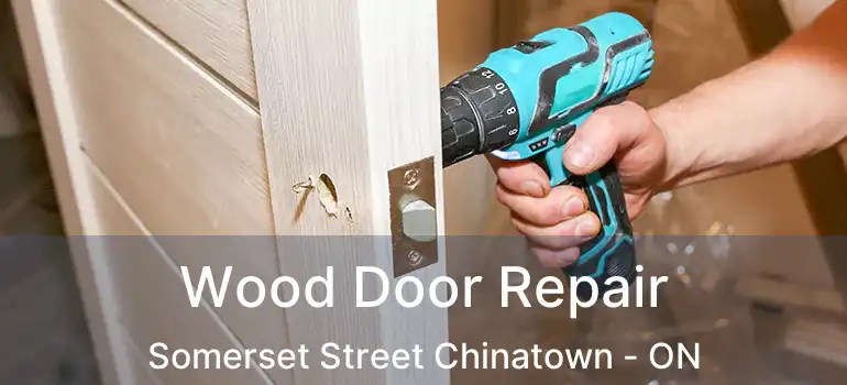  Wood Door Repair Somerset Street Chinatown - ON