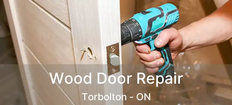  Wood Door Repair Torbolton - ON