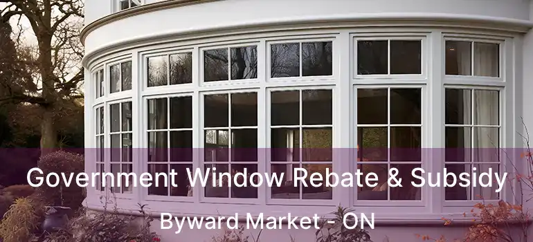  Government Window Rebate & Subsidy Byward Market - ON