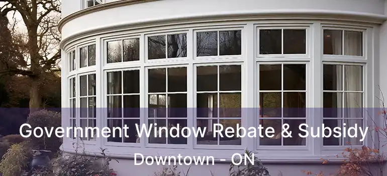  Government Window Rebate & Subsidy Downtown - ON