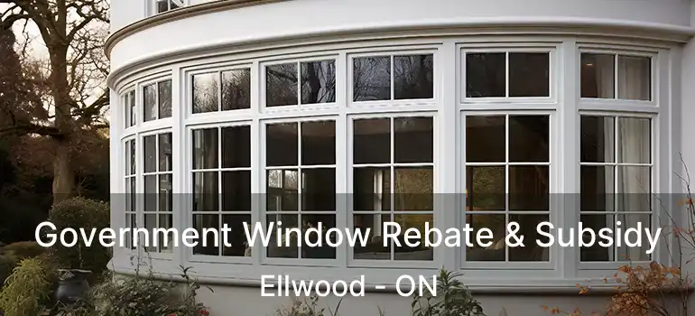 Government Window Rebate & Subsidy Ellwood - ON