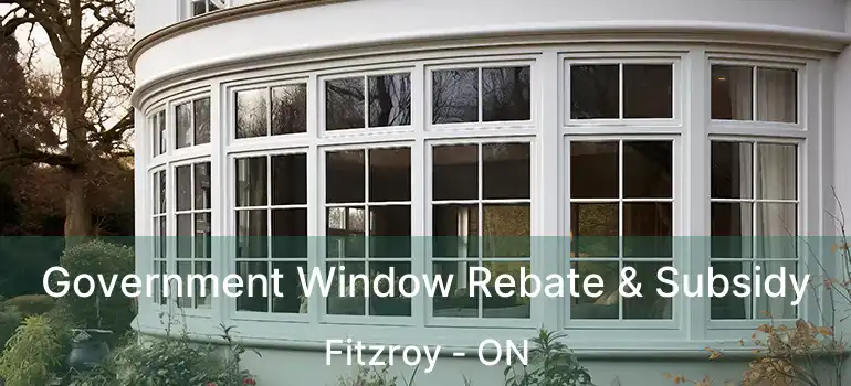  Government Window Rebate & Subsidy Fitzroy - ON