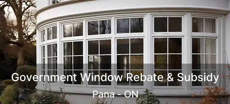  Government Window Rebate & Subsidy Pana - ON