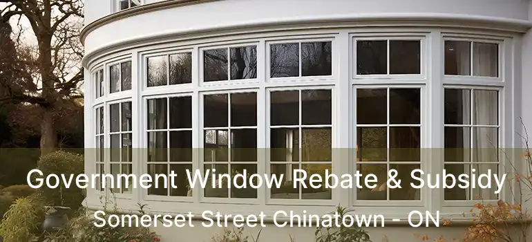 Government Window Rebate & Subsidy Somerset Street Chinatown - ON