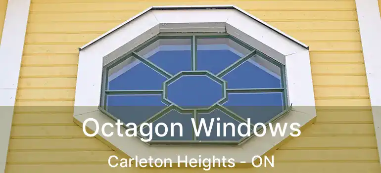  Octagon Windows Carleton Heights - ON