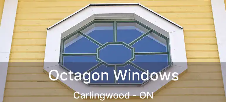  Octagon Windows Carlingwood - ON