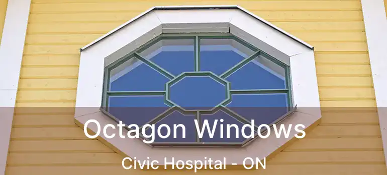  Octagon Windows Civic Hospital - ON