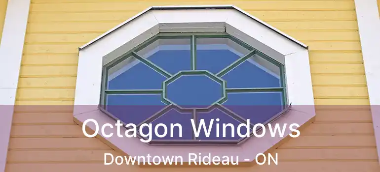  Octagon Windows Downtown Rideau - ON