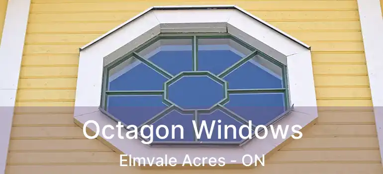  Octagon Windows Elmvale Acres - ON