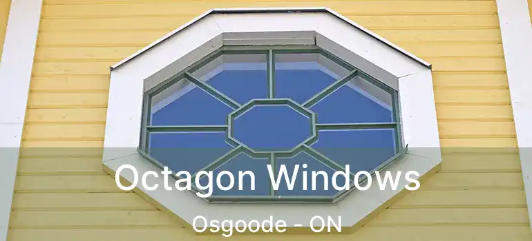  Octagon Windows Osgoode - ON