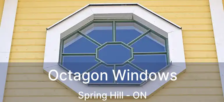  Octagon Windows Spring Hill - ON