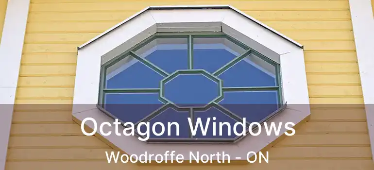  Octagon Windows Woodroffe North - ON