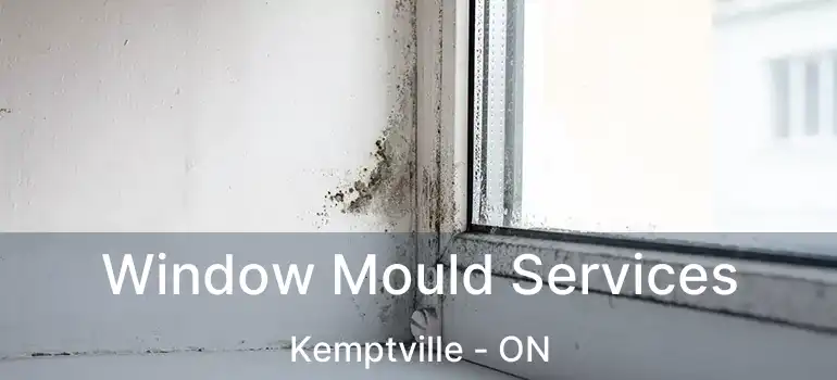  Window Mould Services Kemptville - ON